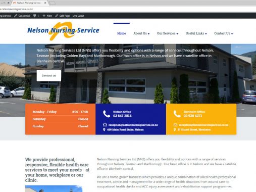 Nelson Nursing Service Wordpress website design - Nelson