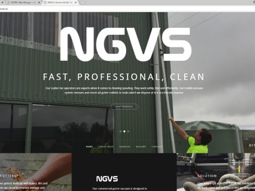 NGVS website design - Nelson